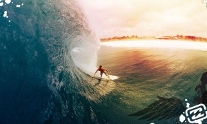 哪款奶粉DHA含量最高？